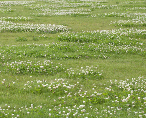 Verkoopwinst bouwkavel belast