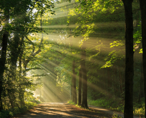 Een landgoed in de erf- of schenkbelasting