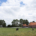 Woonboerderij met schuur, paardenbak en weiland 10,4% of 2% overdrachtsbelasting