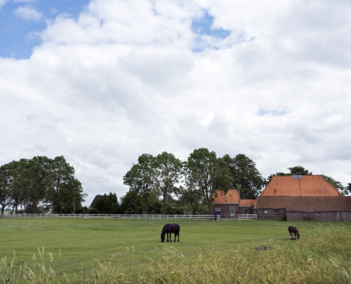 Woonboerderij met schuur, paardenbak en weiland 10,4% of 2% overdrachtsbelasting